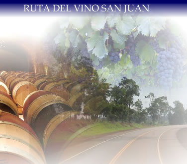 Ruta del Vino San Juan